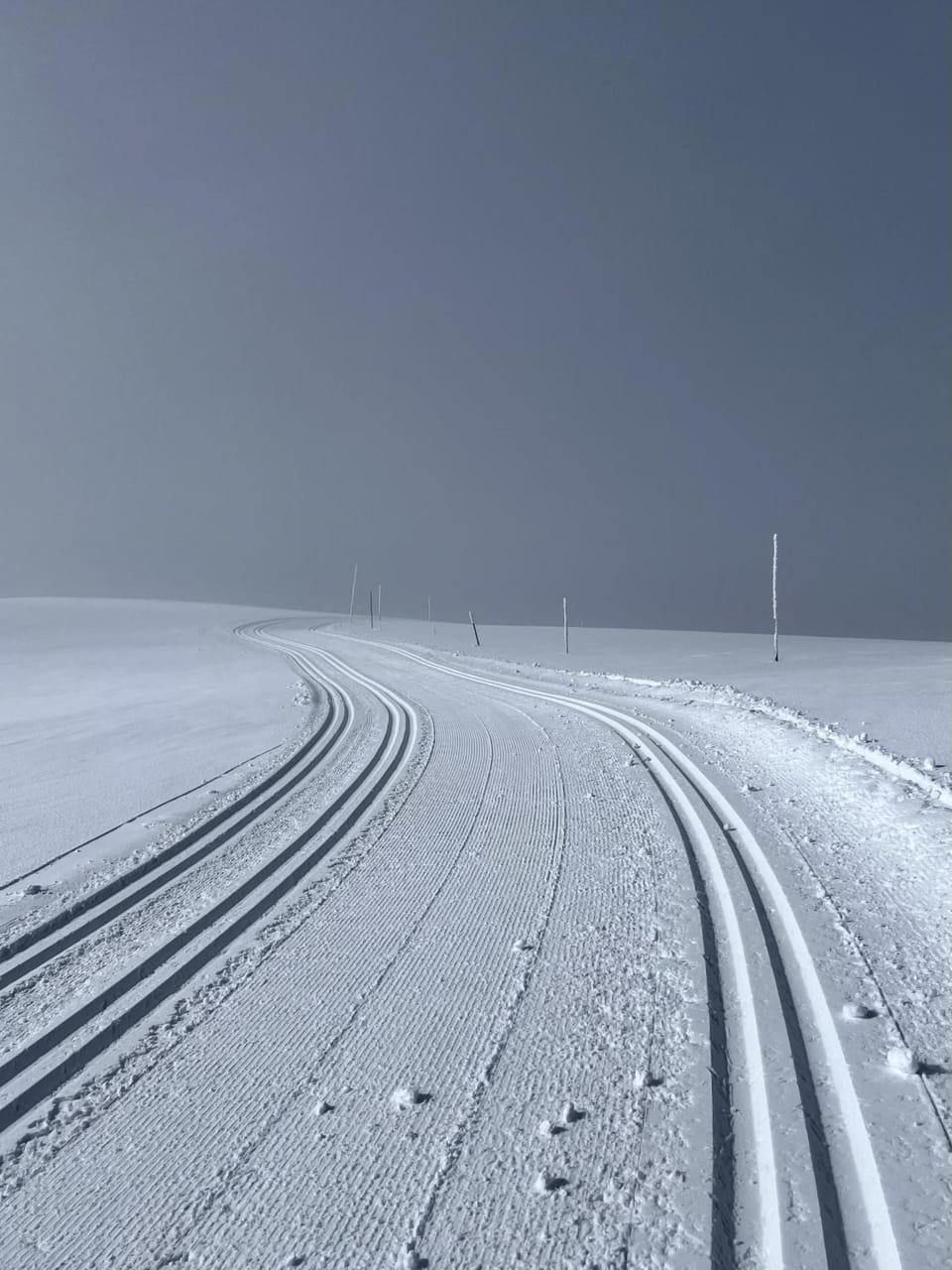 Natural landscape, Winter