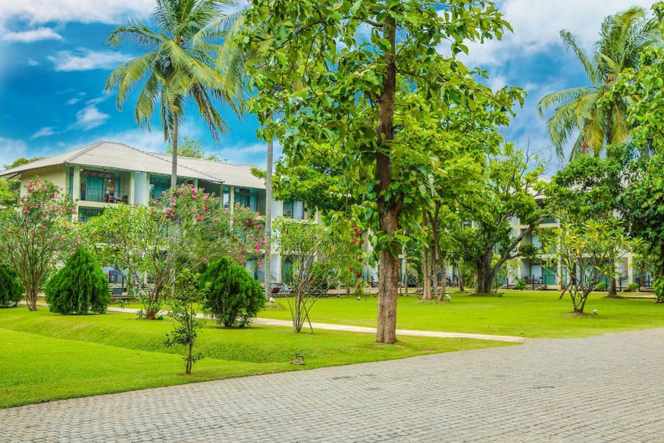 Garden, Garden view, Pool view, Swimming pool, Swimming pool