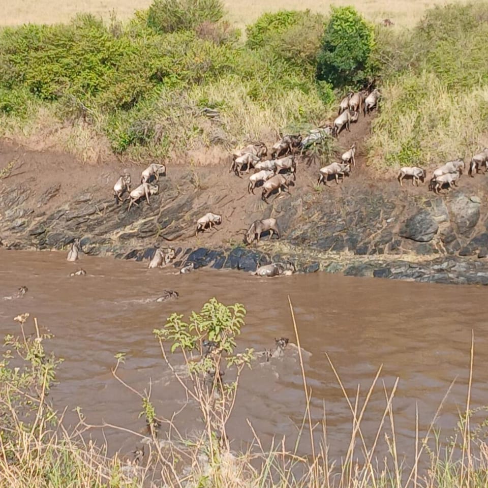 Lepuan safari Luxury tent in Kenya