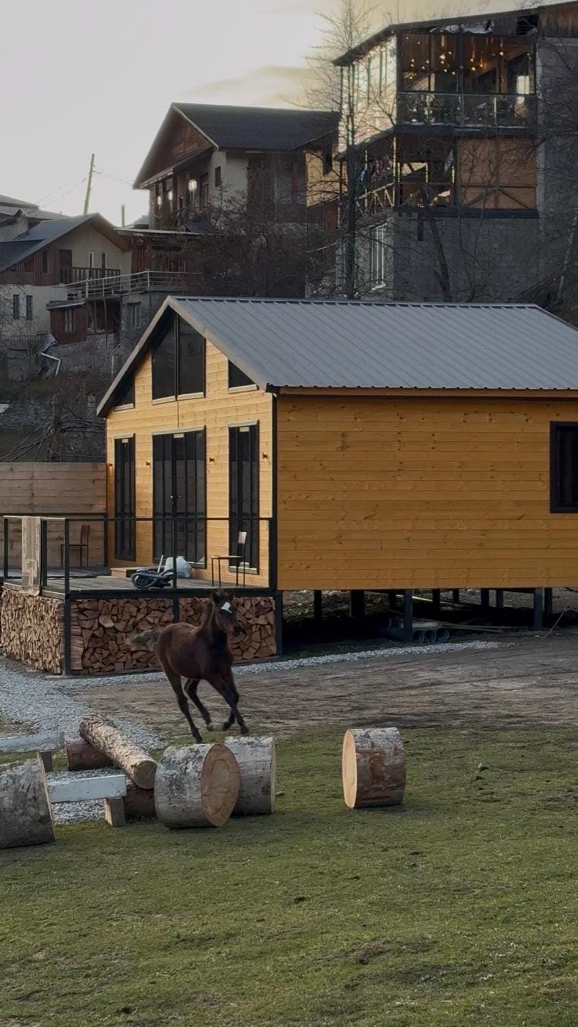 Tetnuldi River Chalet Chalet in Georgia