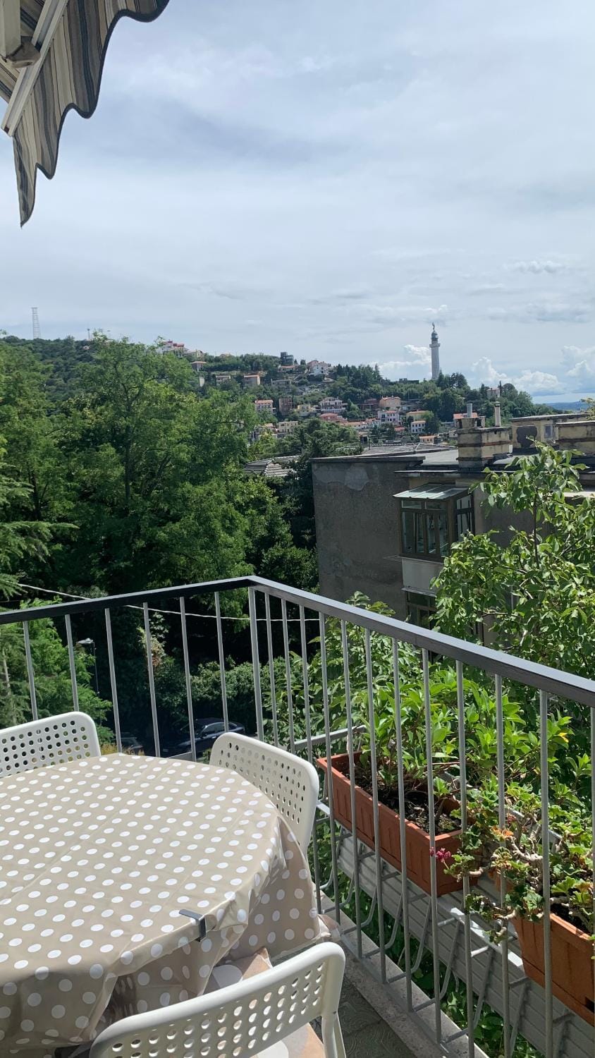 Balcony/Terrace, City view