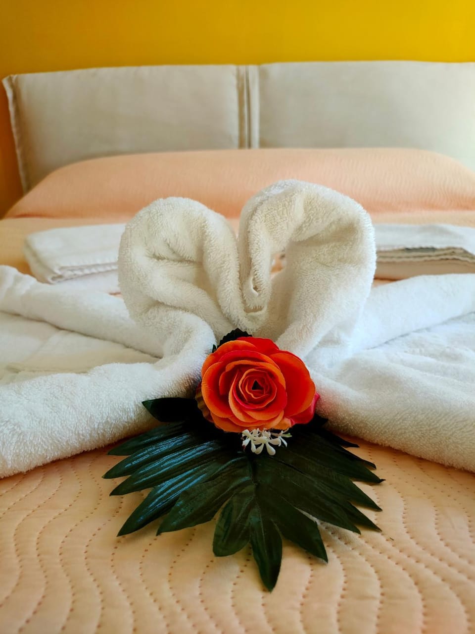towels