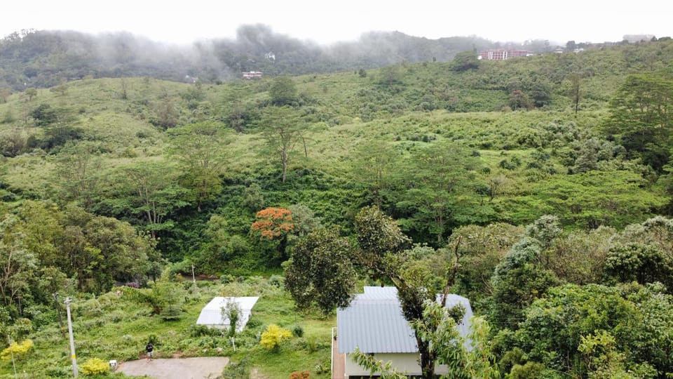 Garden view, Mountain view, Entertainment
