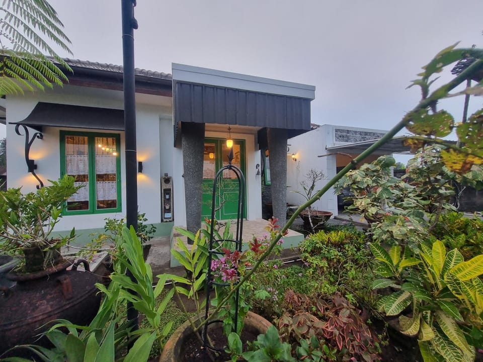 Property building, Garden view
