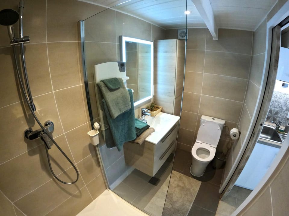Shower, Toilet, Bathroom, towels