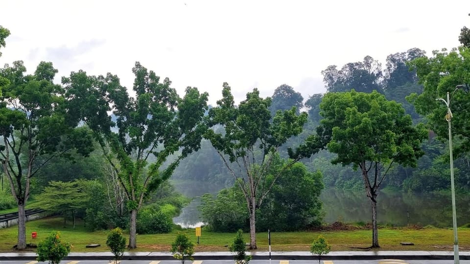 Lake view