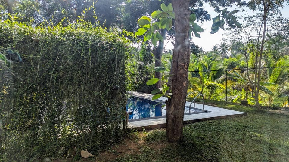 Spring, Day, Garden, Garden view, Pool view, Swimming pool