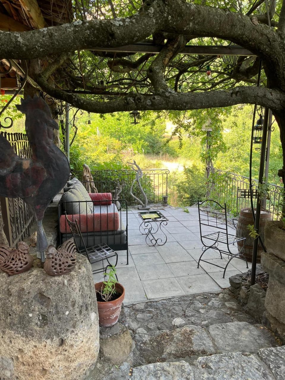 Garden view