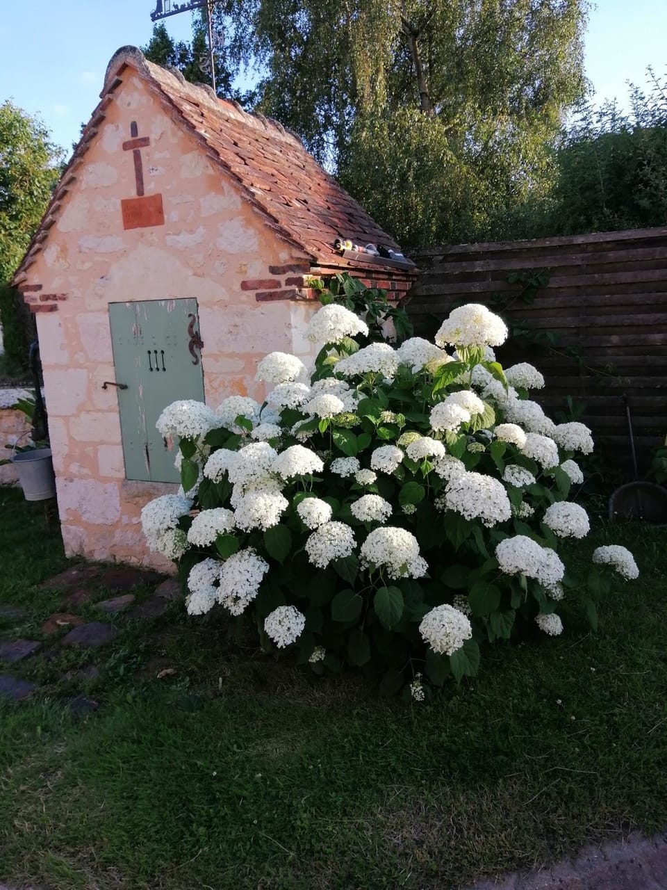Spring, Day, Garden, Garden view