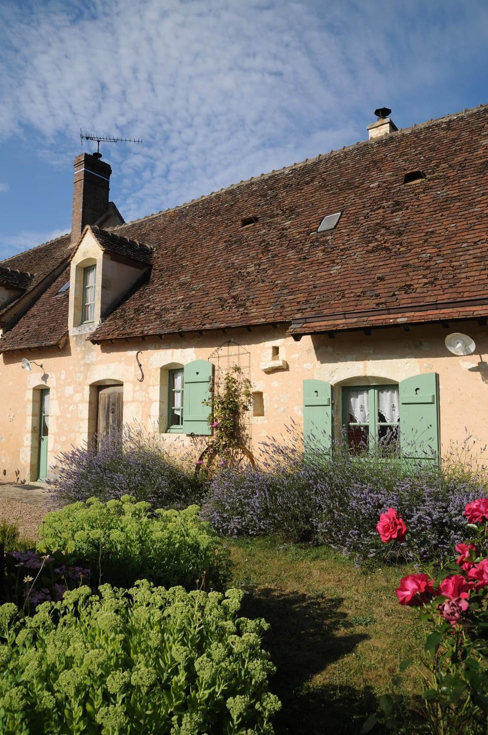Property building, Garden, Garden view
