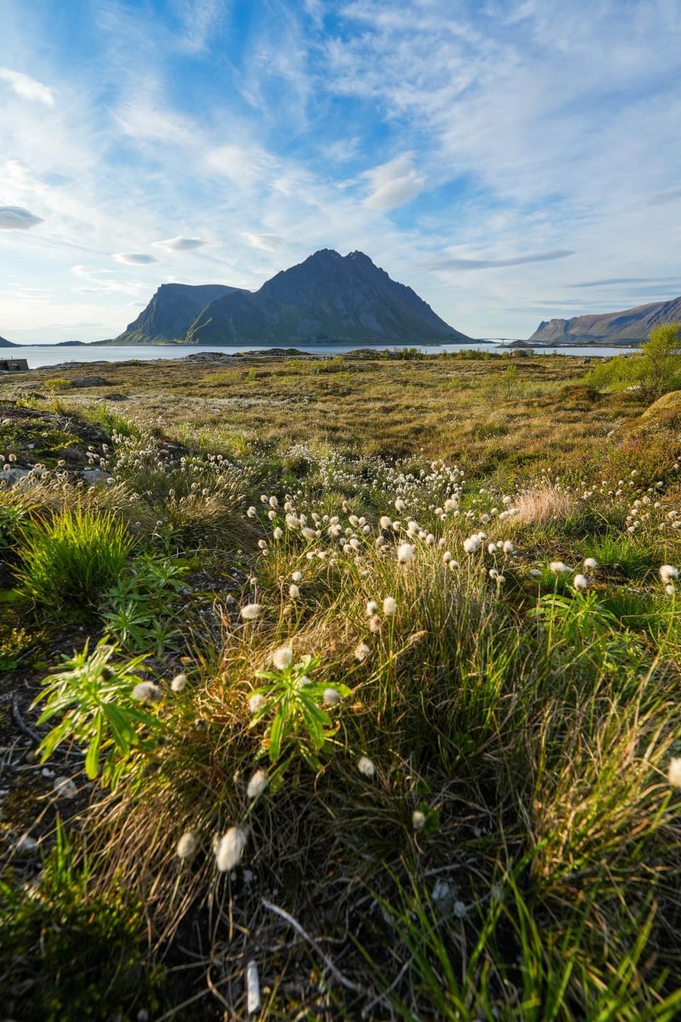 Secluded Lodge - Stunning Views! House in Lofoten