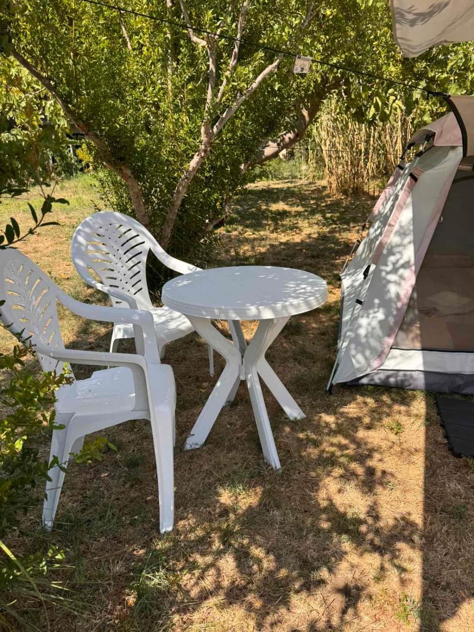 Greenfield campsite Campground/ 
RV Resort in Ulcinj Municipality