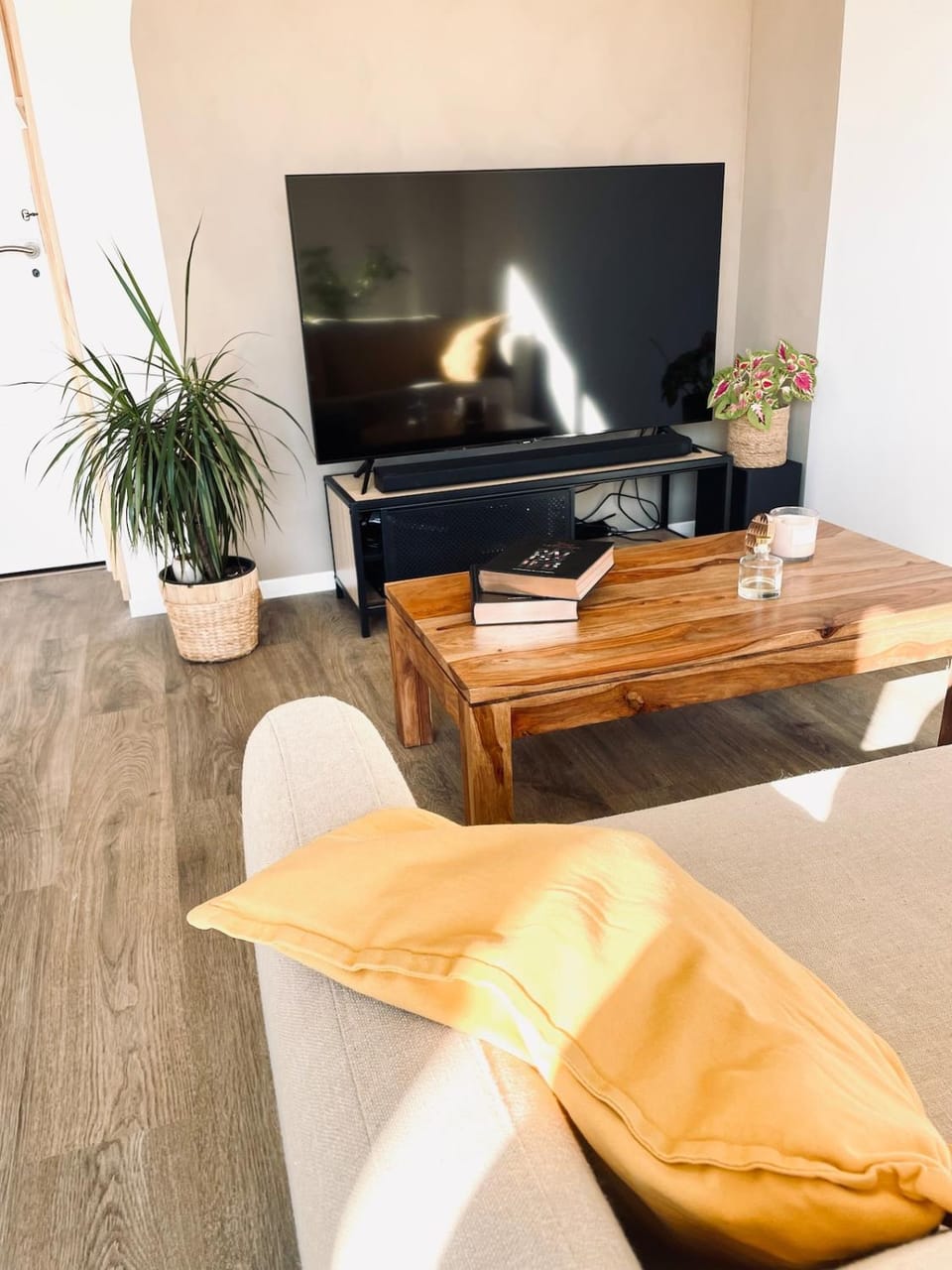 TV and multimedia