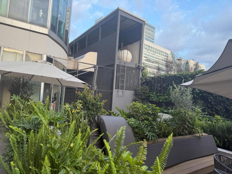 Garden view