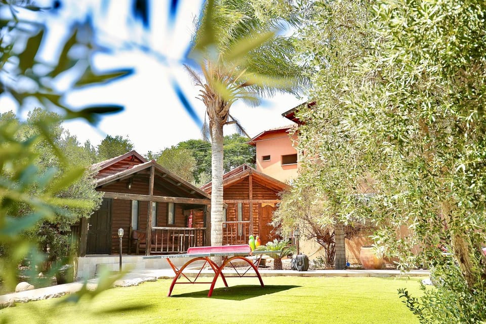 Property building, Garden, Table tennis
