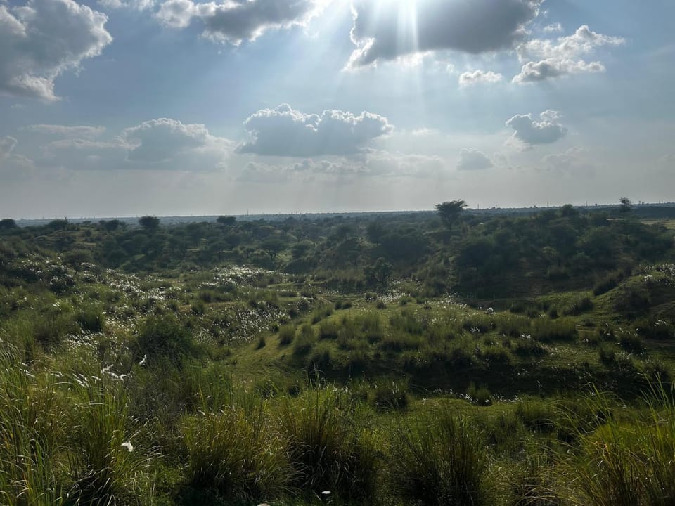 View (from property/room)