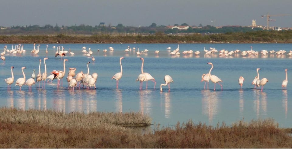 Nearby landmark, Natural landscape