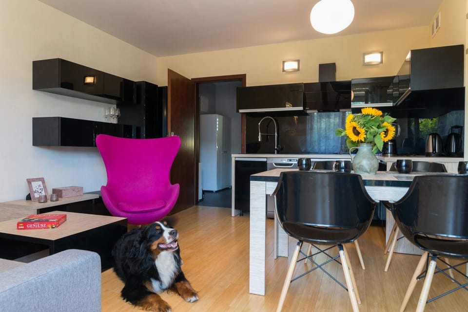 TV and multimedia, Living room, Seating area, Garden view, Mountain view