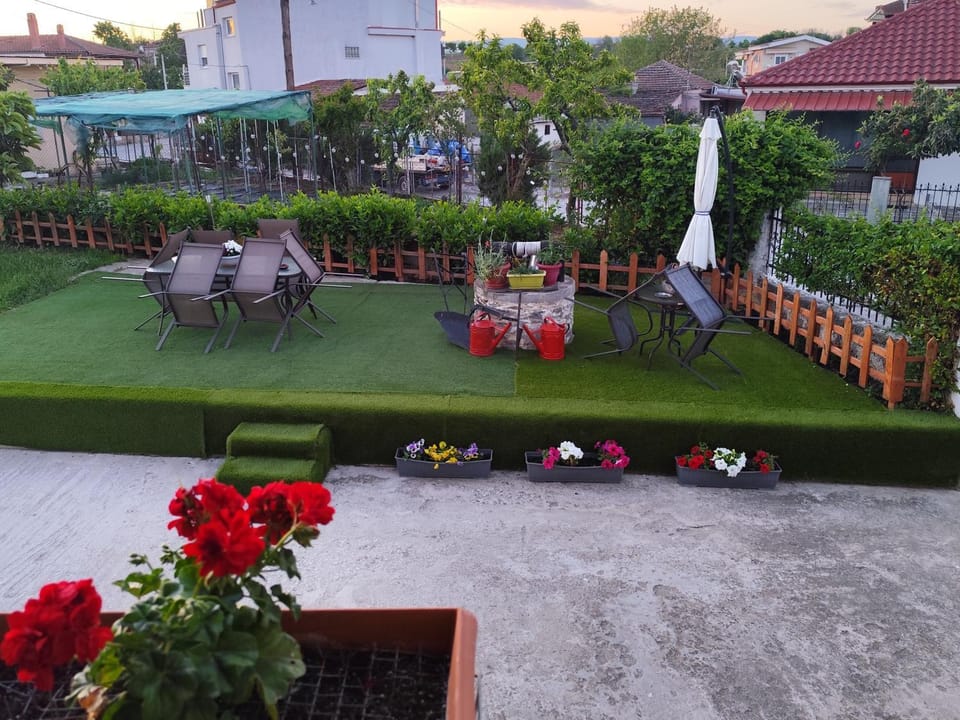 Patio, Garden, Garden view