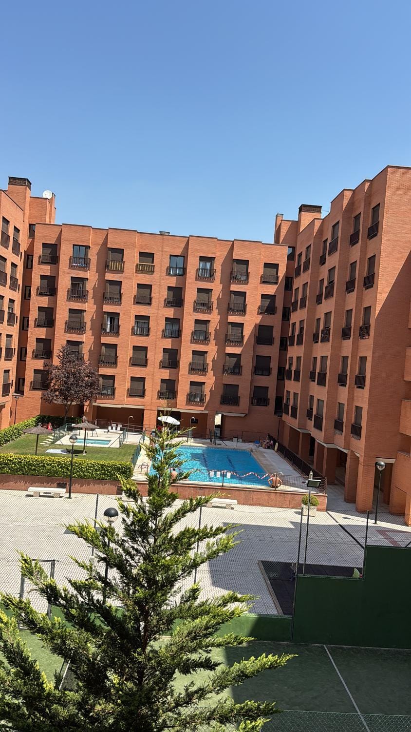 Garden, Swimming pool