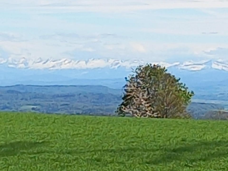 Natural landscape, Mountain view