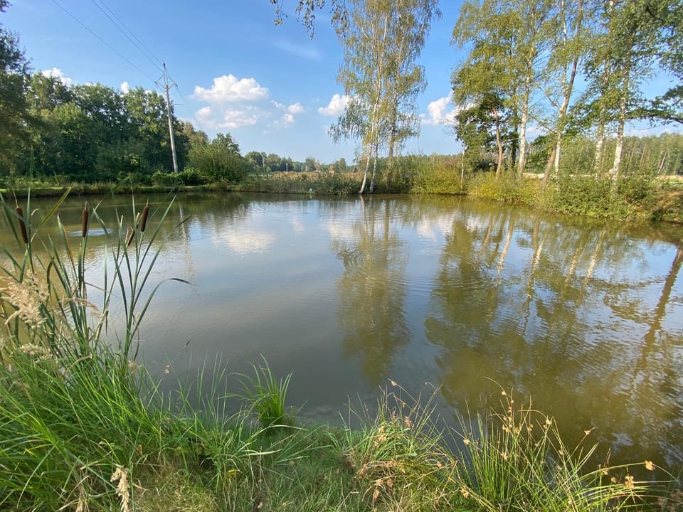 Natural landscape