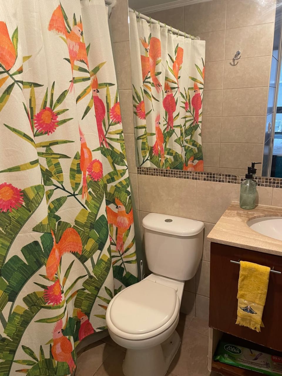 Miguelo estudio Apartment in Santiago