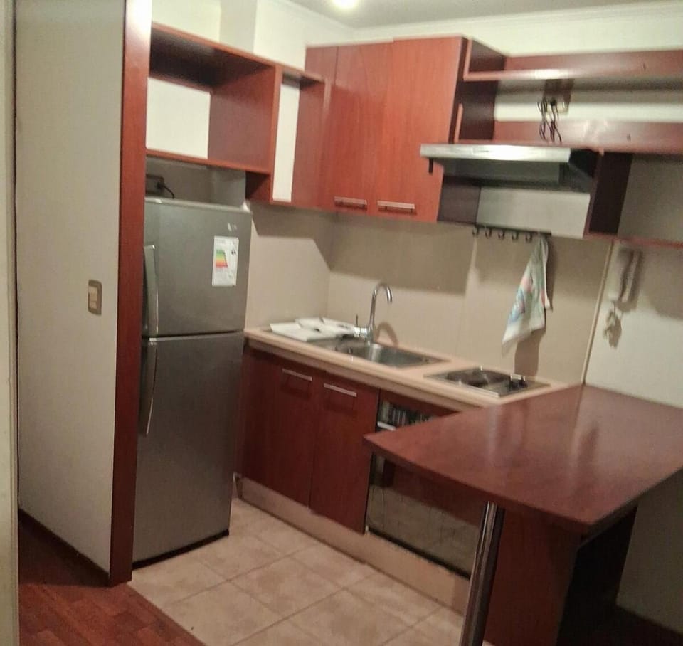 Miguelo estudio Apartment in Santiago