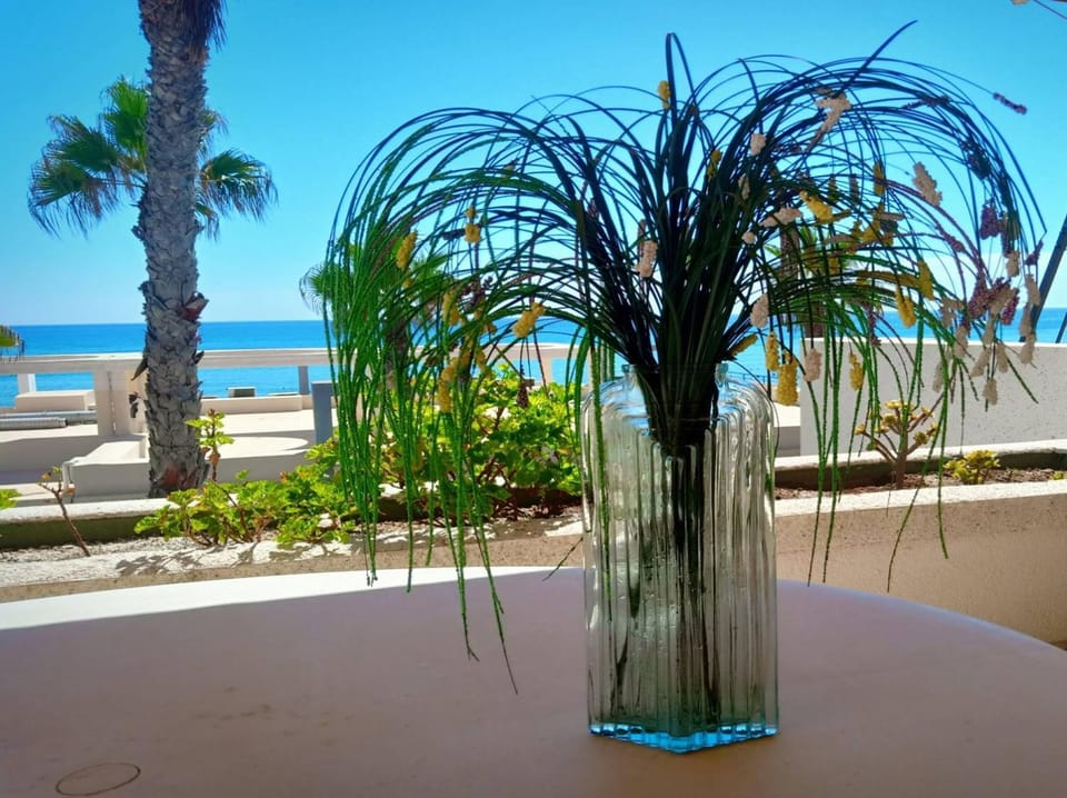 Apartamento-Primera línea playa-La Mata-Alicante Apartment in Torrevieja