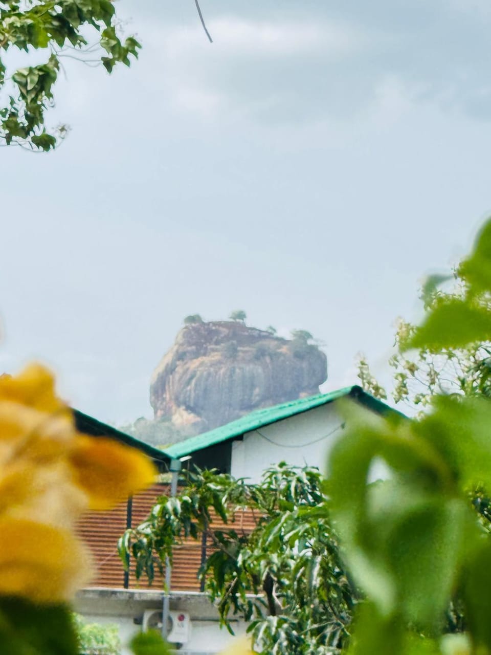 Mountain view