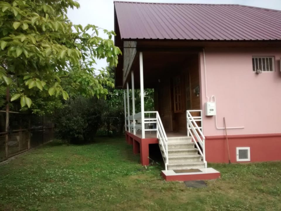 Patio, Facade/entrance, Garden