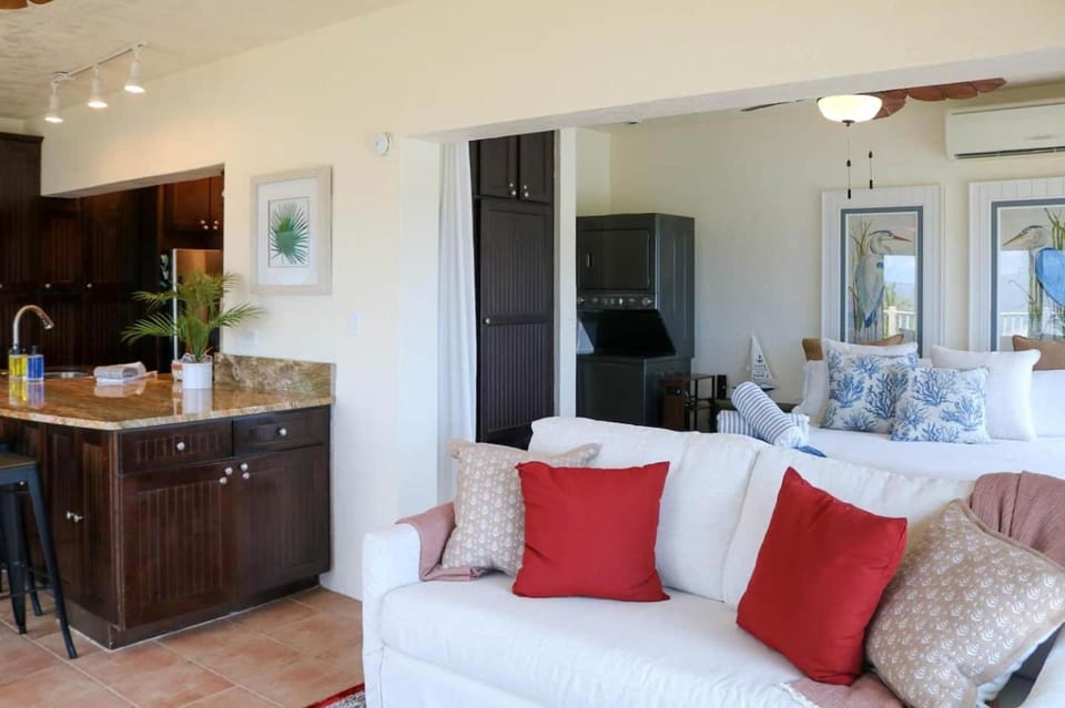 Penthouse luxury with ocean views Resort pools House in Virgin Islands (U.S.)