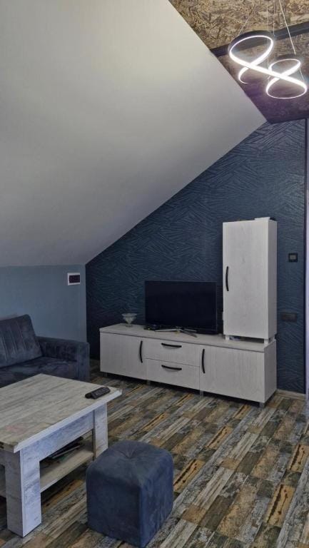 TV and multimedia