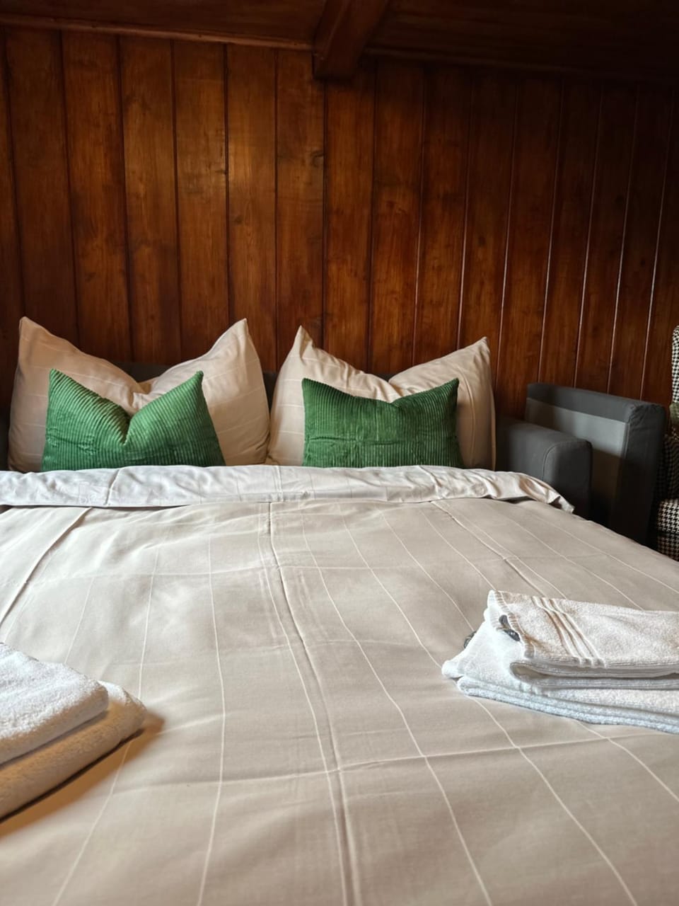 Bed, Living room, Photo of the whole room