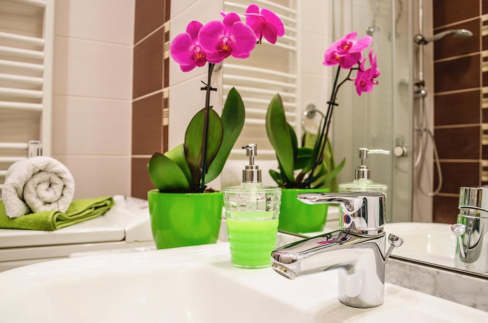 Danube Dreams Apartment in Budapest