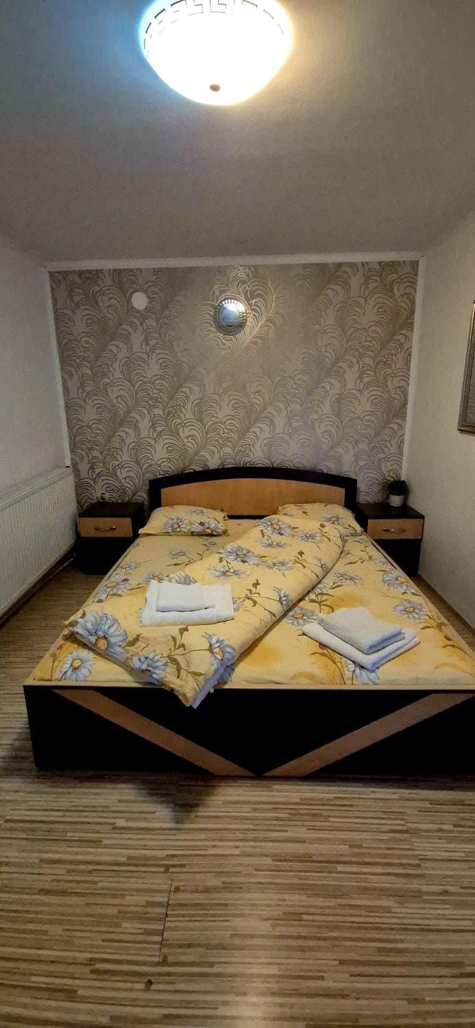 Pensiunea Alina-Maria Bed and Breakfast in Romania