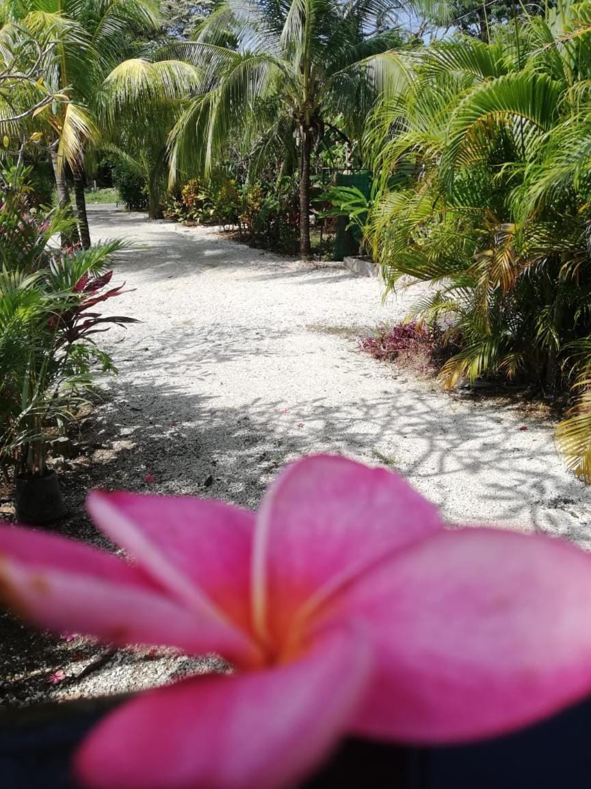 Aloha Surf Nosara - Casa 'Ohana House in Guanacaste Province