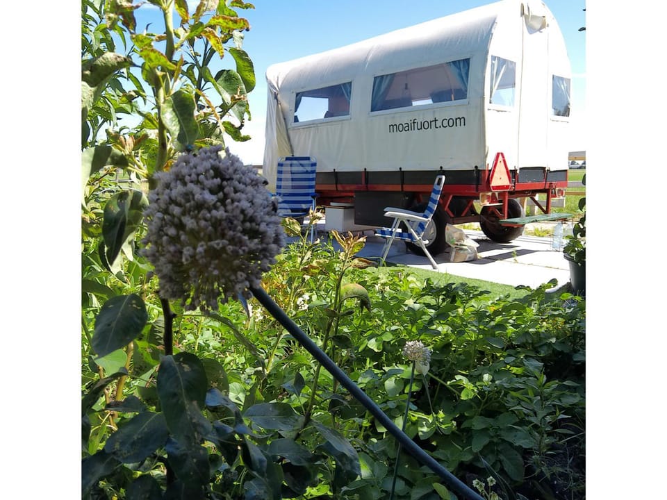 Pipowagen bij Sneek Luxury tent in Friesland, Netherlands
