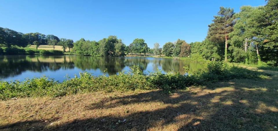Spring, On site, Lake view