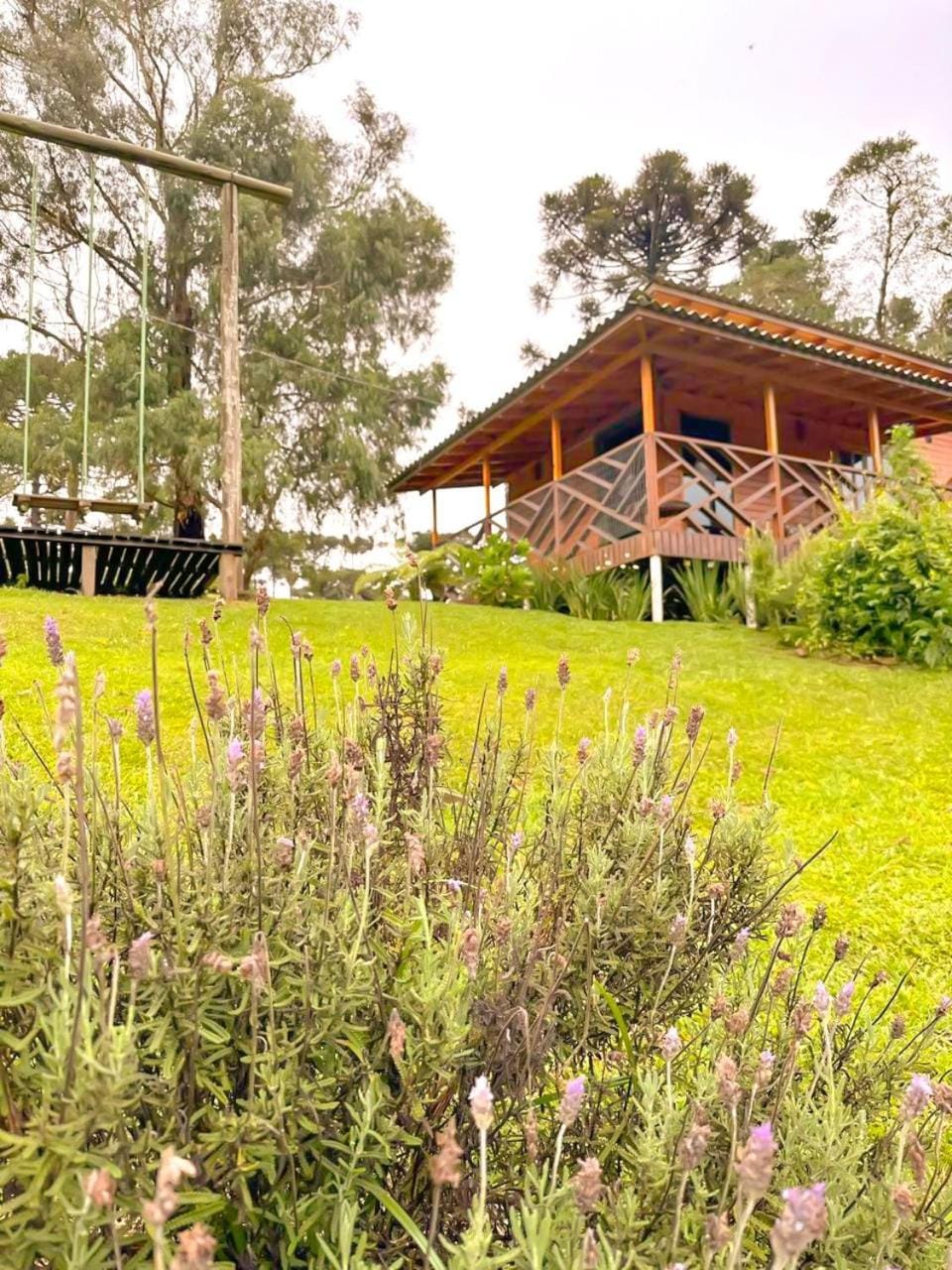 Property building, Spring, Day, Natural landscape, Garden, Garden view