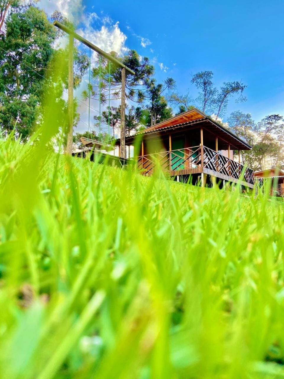Spring, Day, Natural landscape, Garden, Garden view