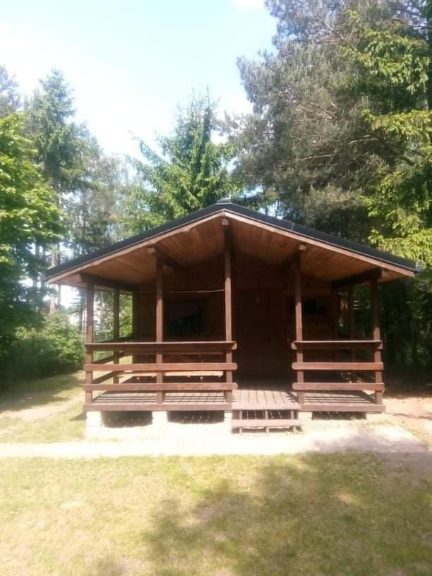 Domek letniskowy 6 osobowy drewniany z bezpośrednim zejściem nad jezioro Wilczyńskie Świętne Basen pomost rowerki wodne i kajaki bezpłatnie, duży plac zabaw i wiele innych udogodnień House in Greater Poland Voivodeship