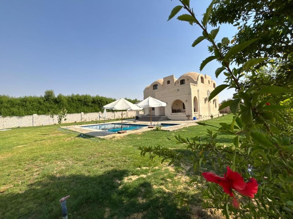 Villa for rent Villa in Egypt