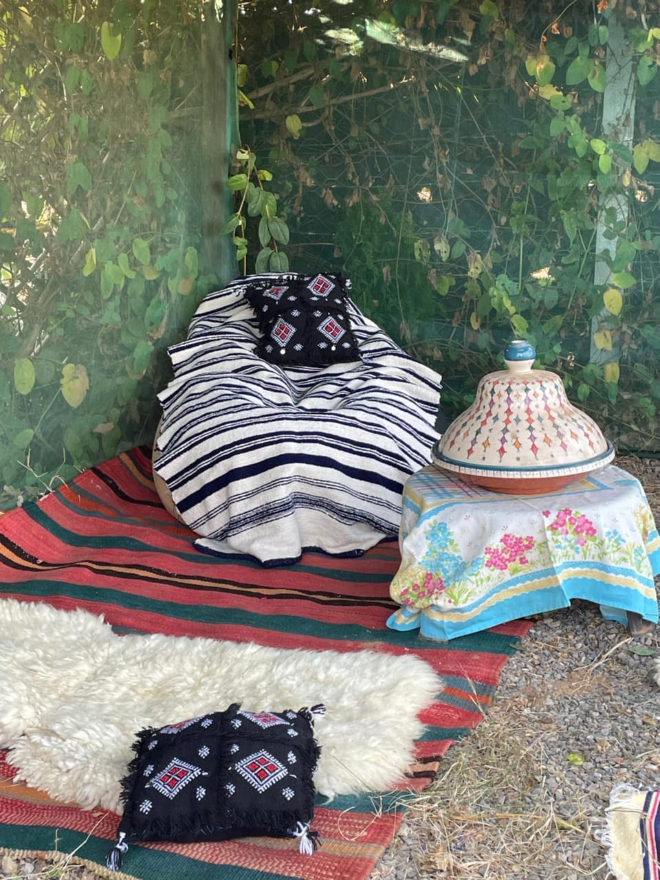 Halima Guesthouse Country House in Tangier-Tétouan-Al Hoceima
