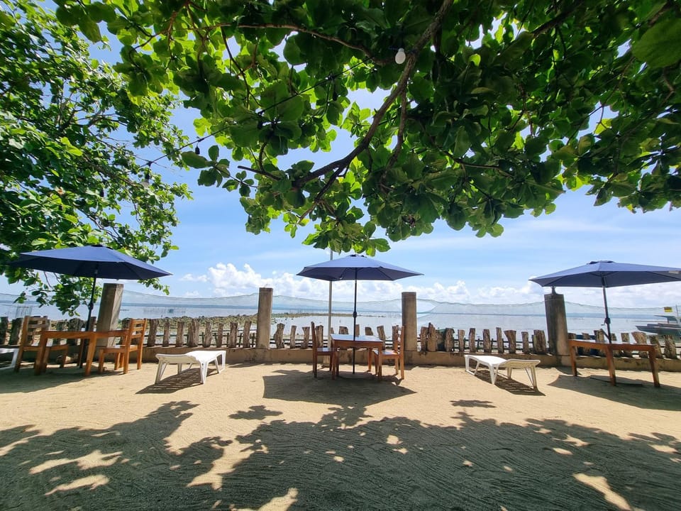 Sea view, sunbed