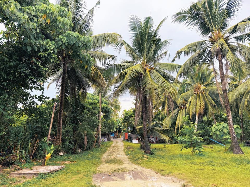 Grey Pad - Beachfront Property Apartment in General Luna