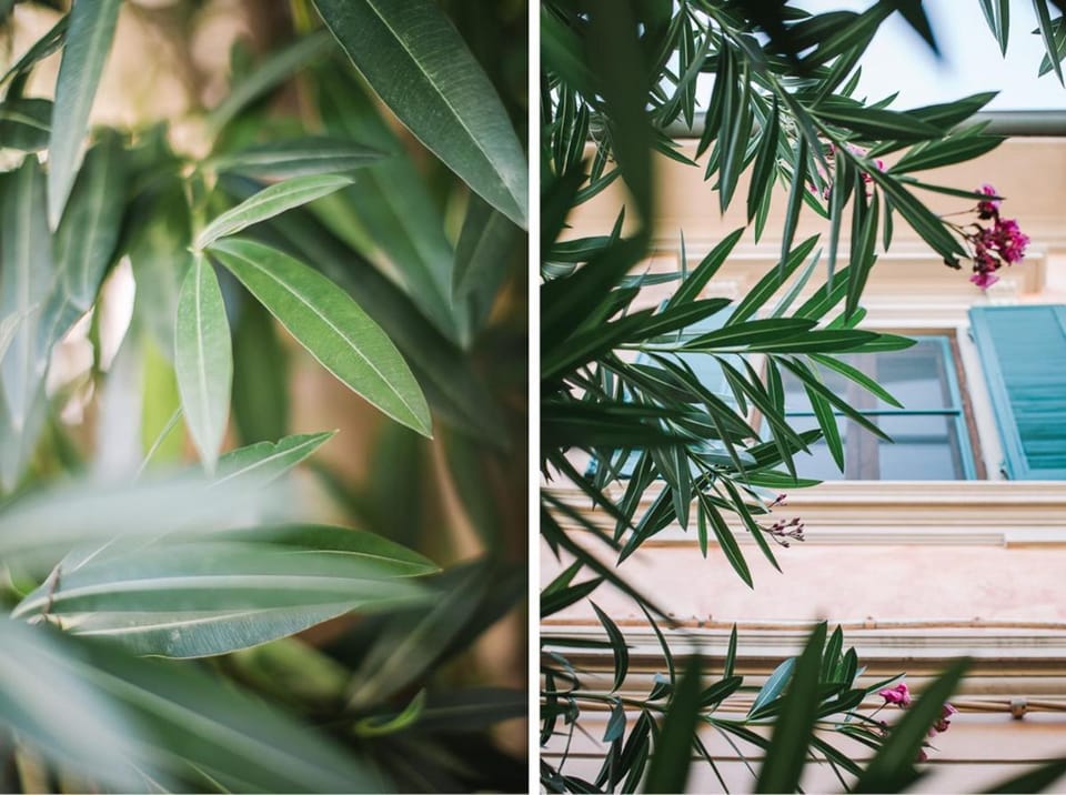 La Casetta Di Filippo E Chiara Apartment in Pisa