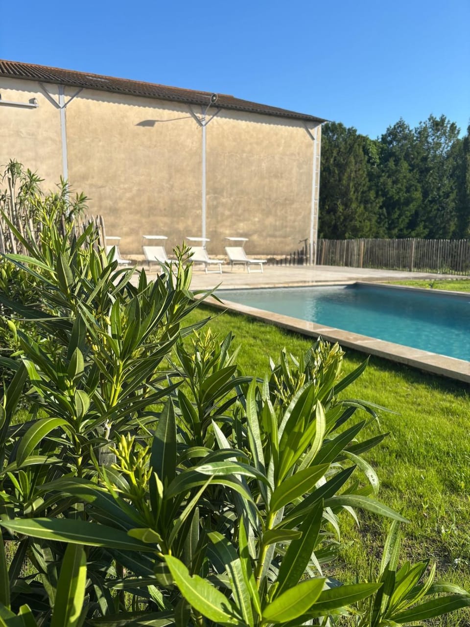 Garden, Swimming pool, sunbed