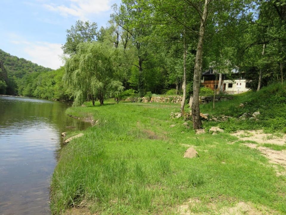 Natural landscape, River view
