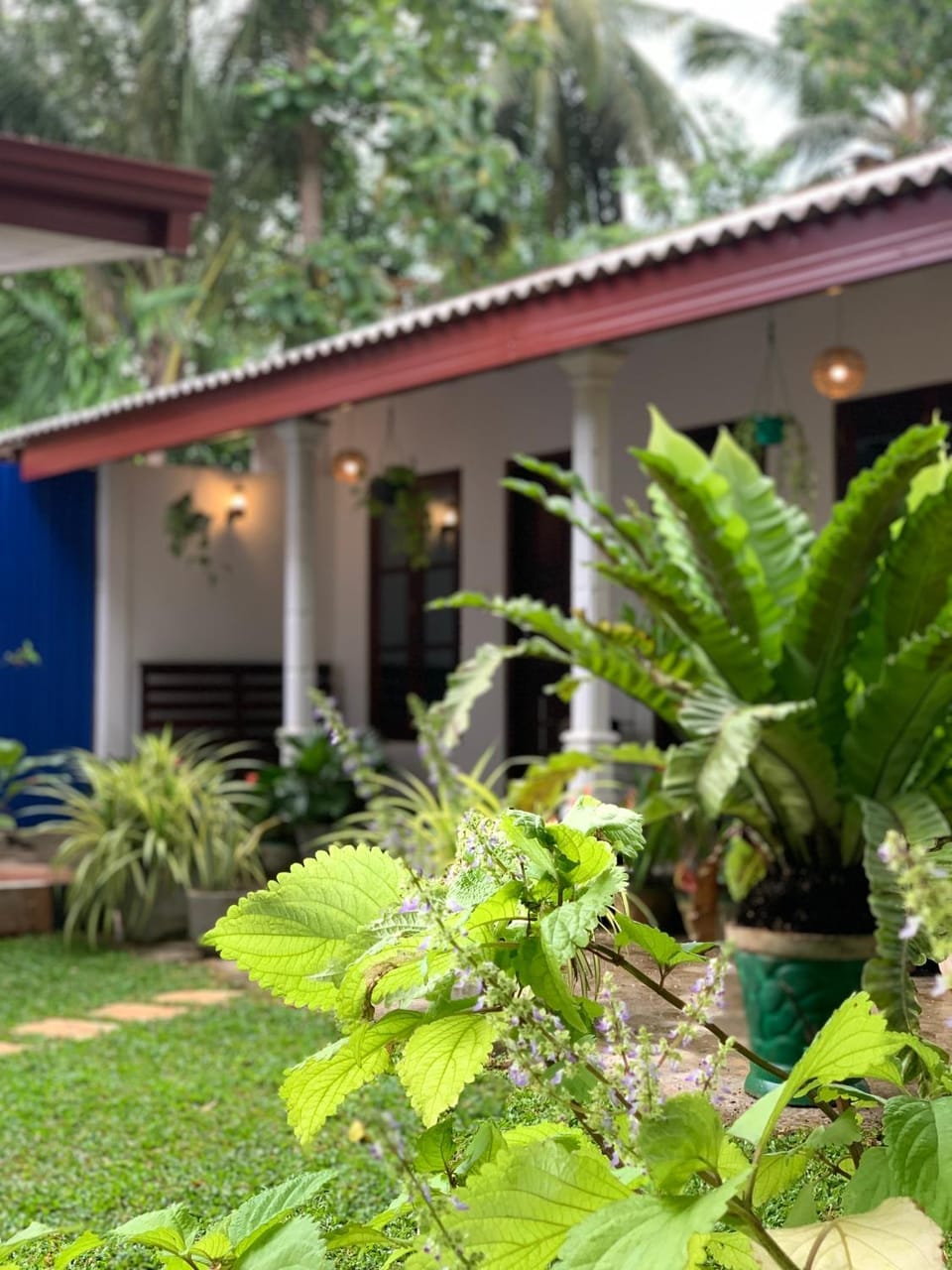 Elegant Nature Lodge Nature lodge in Dambulla